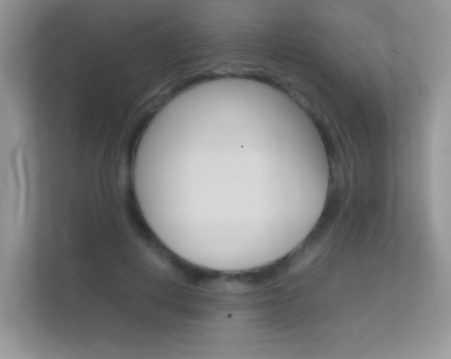 X0000112410648200908141026