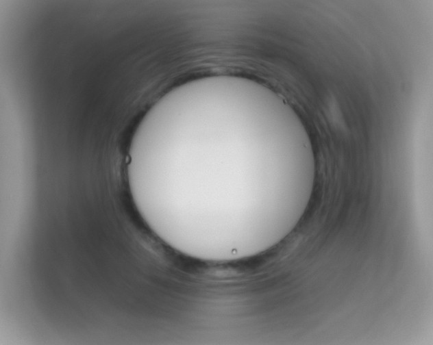 X0000112410650200908141026
