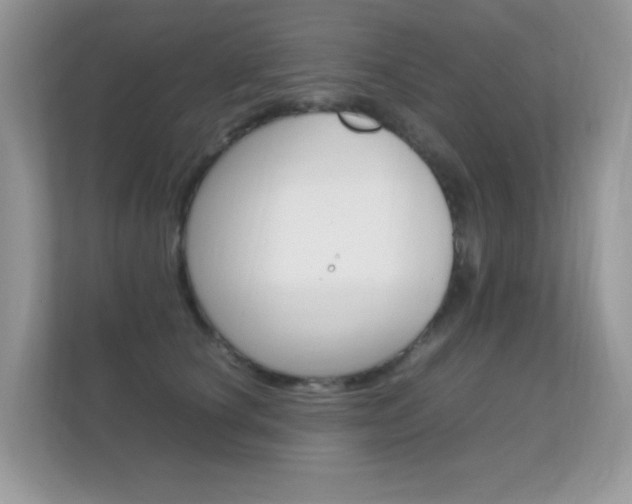 X0000112410660200908141026