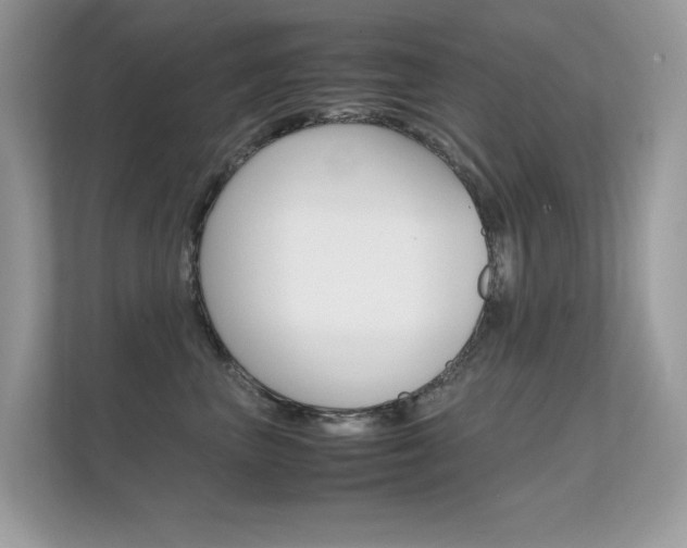 X0000112410667200908141026