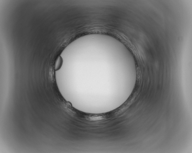 X0000112410669200908141027