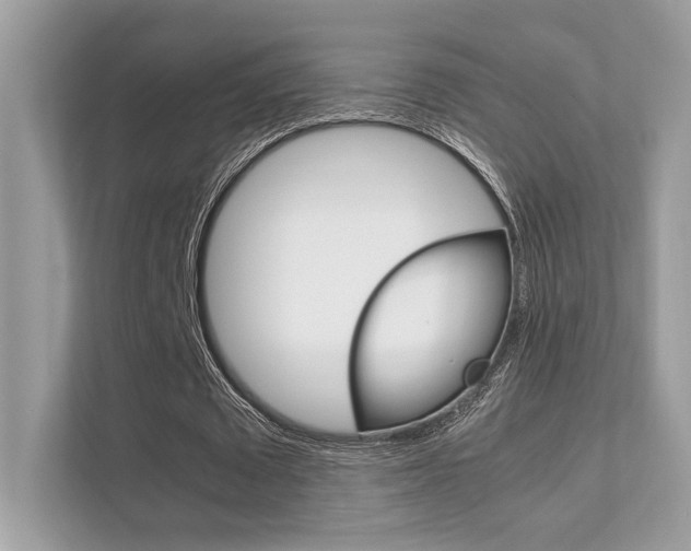 X0000112410673200908141026