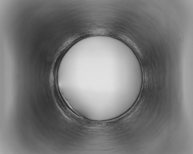 X0000112410674200908141026