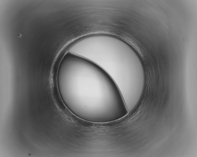 X0000112410676200908141026