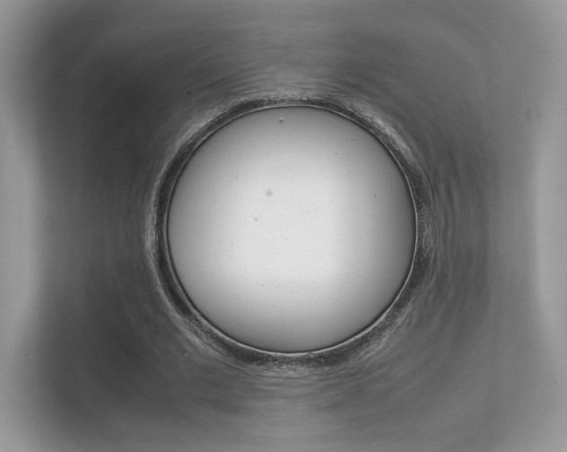 X0000112410677200908141026