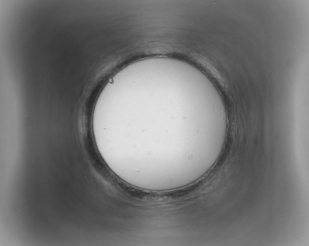 X0000112410683200908141026