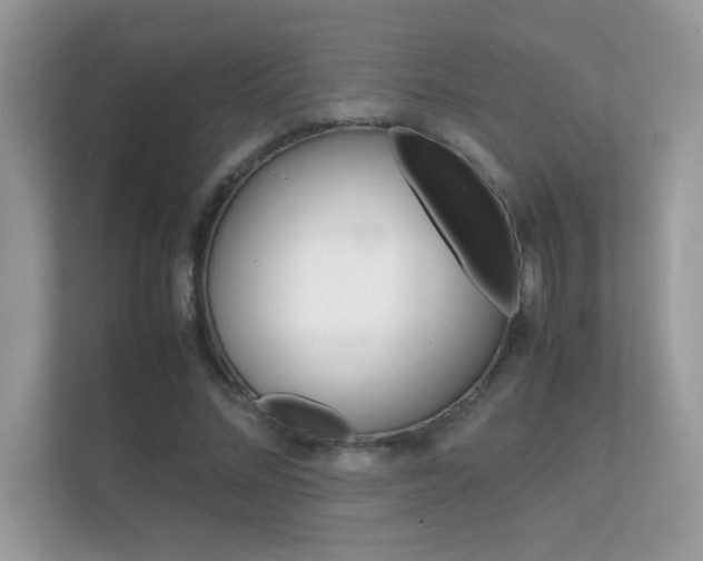 X0000112410684200908141026