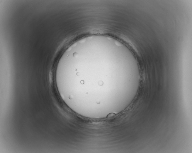 X0000112410686200908141026