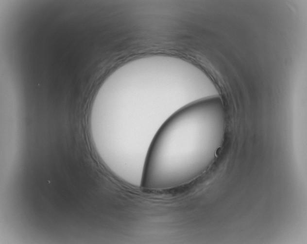X0000112410689200908141026