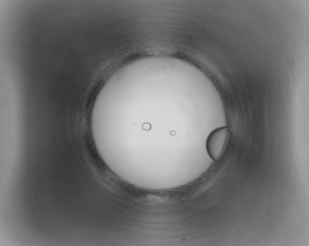 X0000112410690200908141026