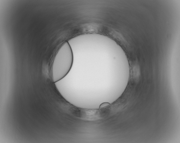 X0000112410709200908141025