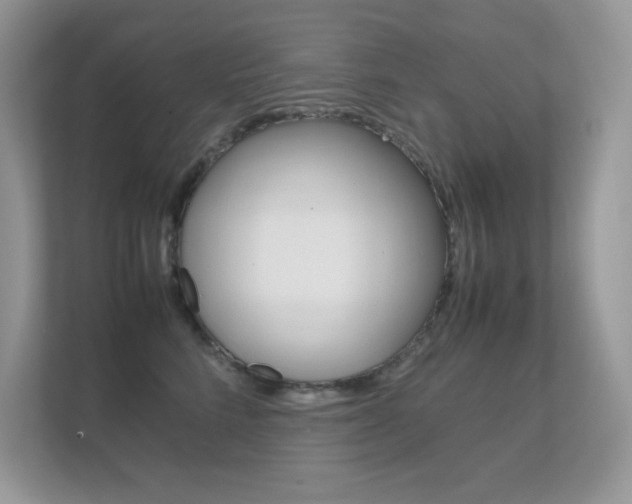 X0000112410712200908141025