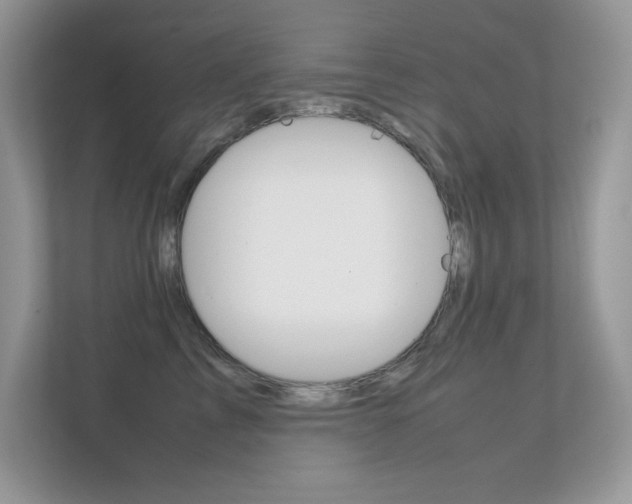 X0000112410713200908141025