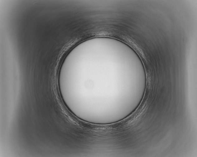 X0000112410721200908141025