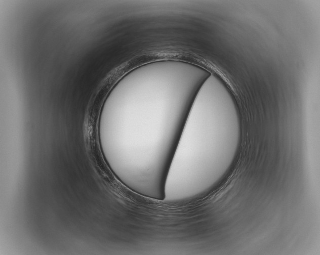 X0000112410723200908141025
