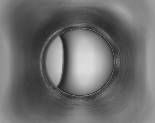 X0000112410724200908141025