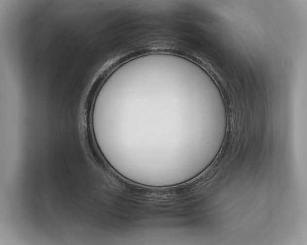 X0000112410727200908141025