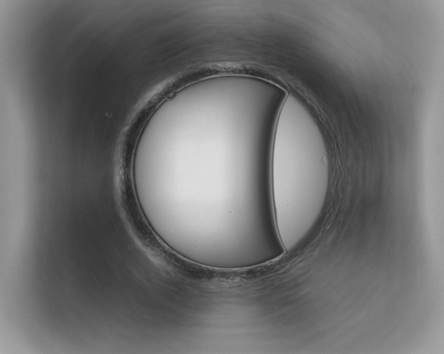X0000112410728200908141025