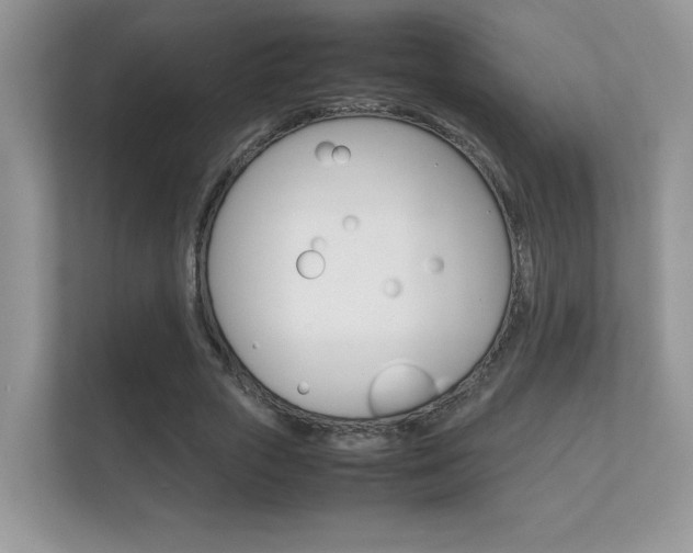 X0000112410729200908141025