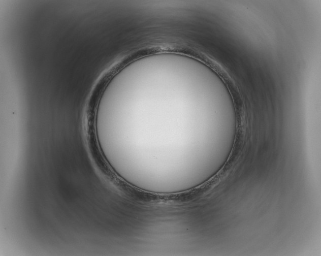X0000112410730200908141025