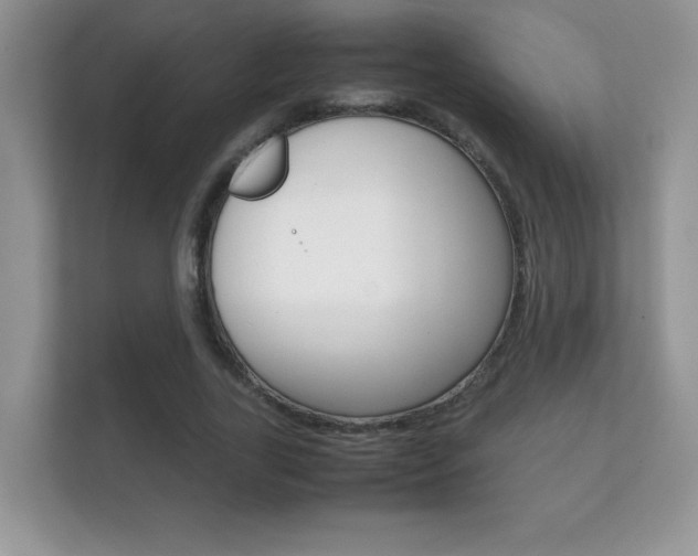 X0000112410731200908141025