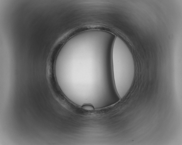 X0000112410732200908141025