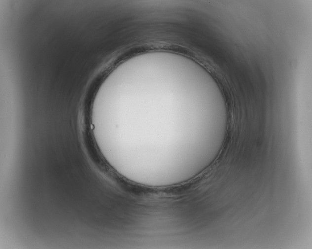 X0000112410734200908141025
