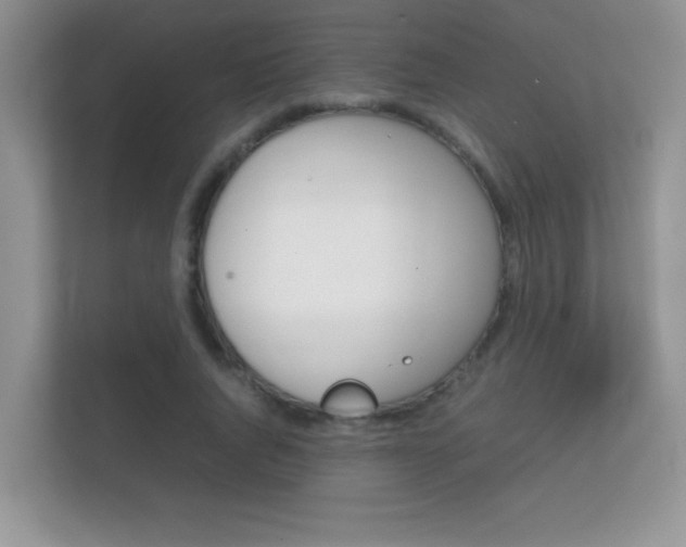 X0000112410736200908141025