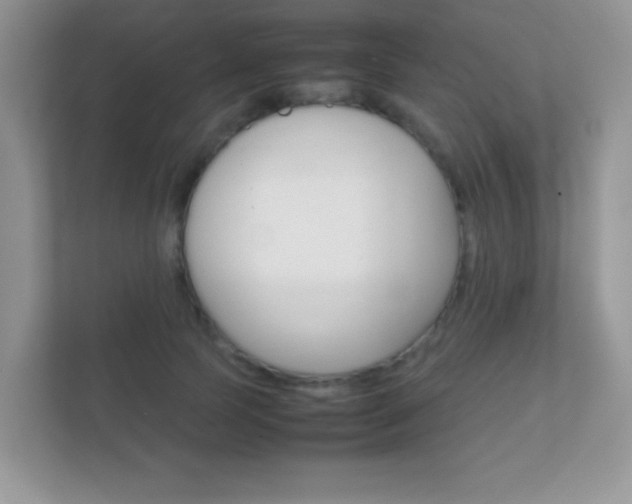 X0000112410745200908141025