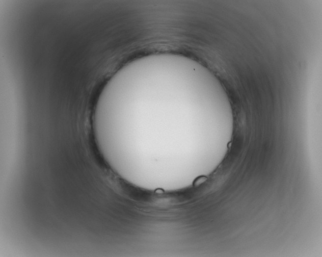 X0000112410746200908141025