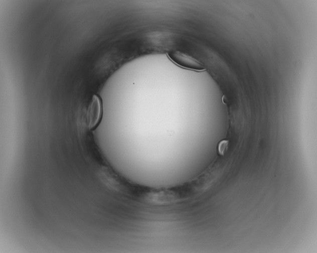 X0000112410752200908141025