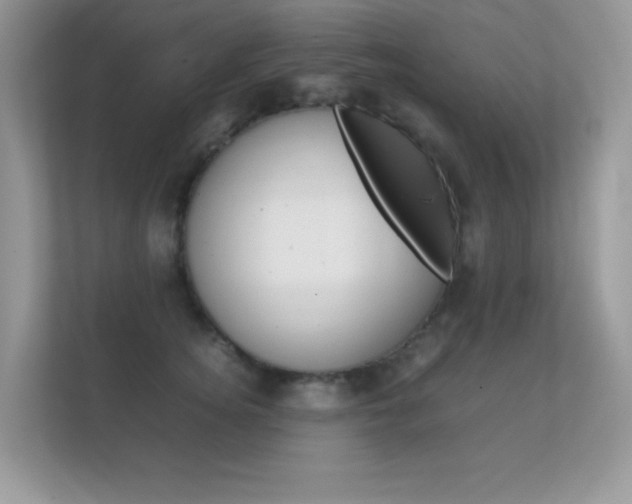 X0000112410756200908141025