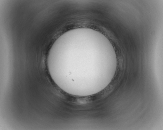 X0000112410757200908141025