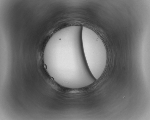X0000112410759200908141025