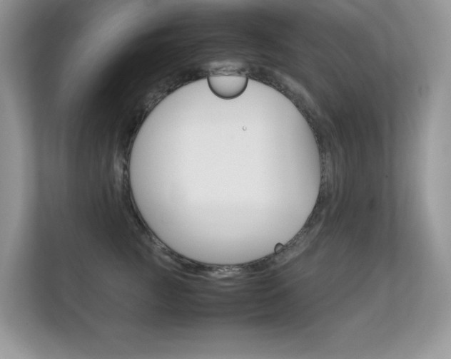 X0000112410761200908141025