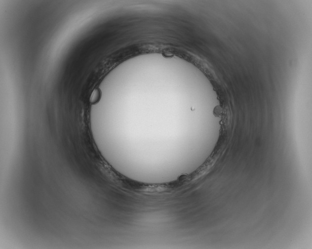 X0000112410762200908141025