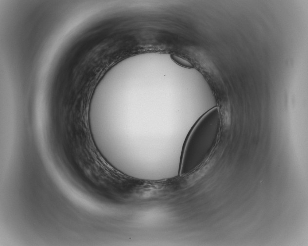 X0000112410764200908141025