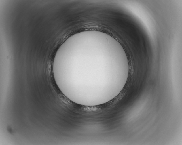 X0000112410767200908141025