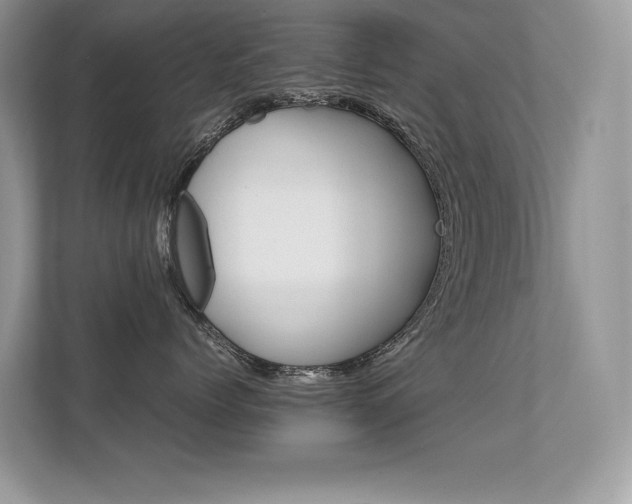X0000112410768200908141025