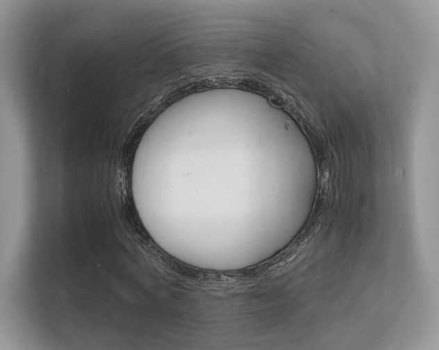 X0000112410772200908141025