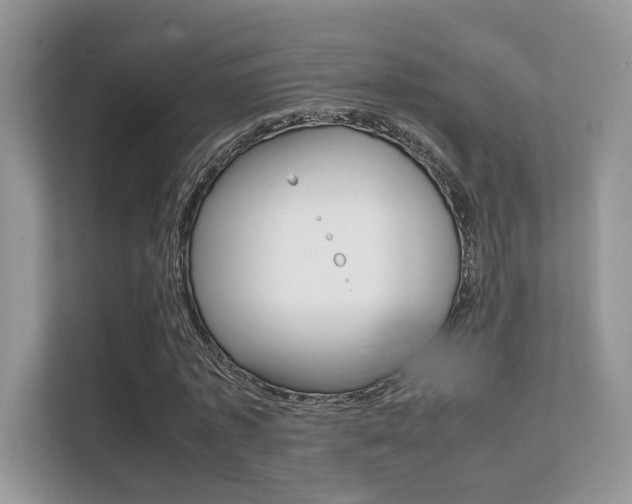 X0000112410773200908141025