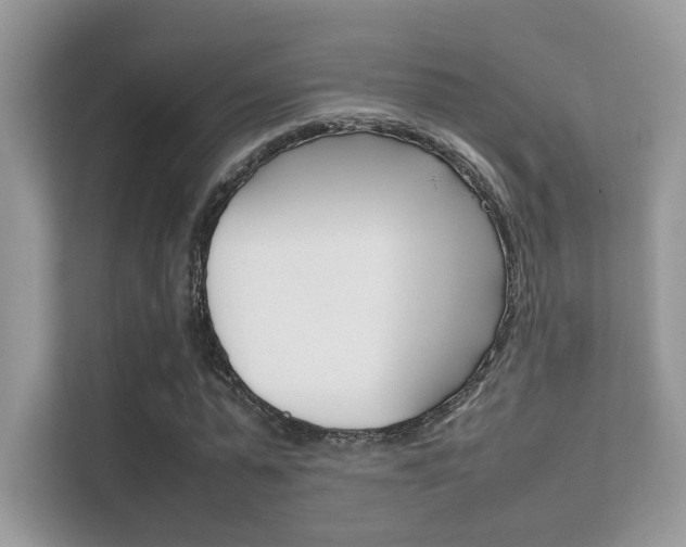 X0000112410775200908141025