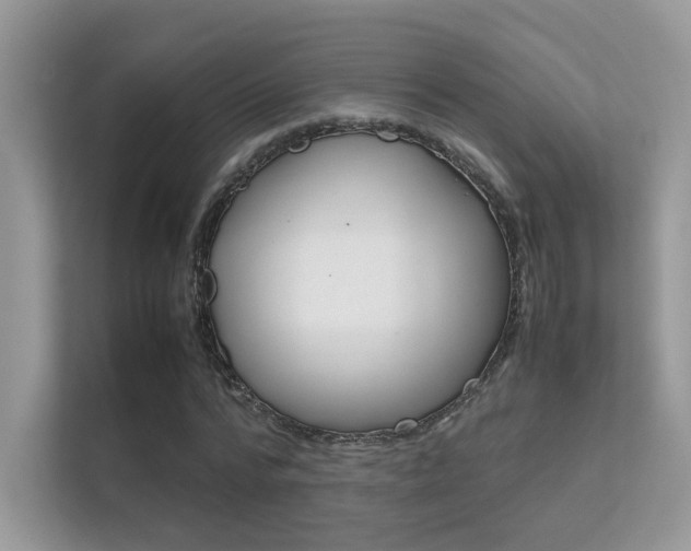X0000112410776200908141025
