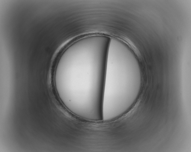 X0000112410780200908141025