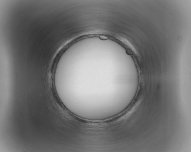 X0000112410781200908141025