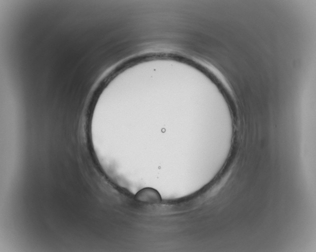 X0000112410783200908141024