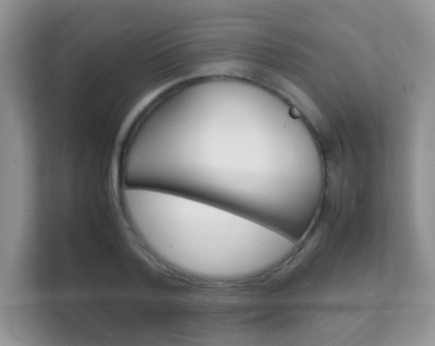 X0000112410788200908141024