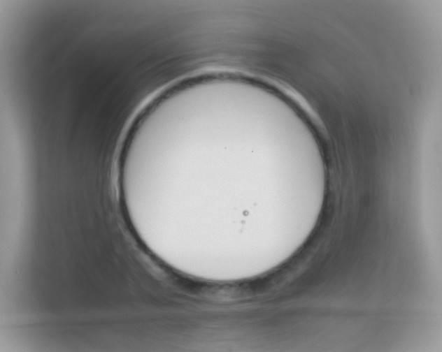 X0000112410791200908141024