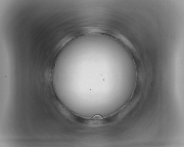 X0000112410793200908141024