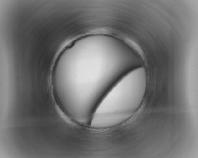 X0000112410800200908141024